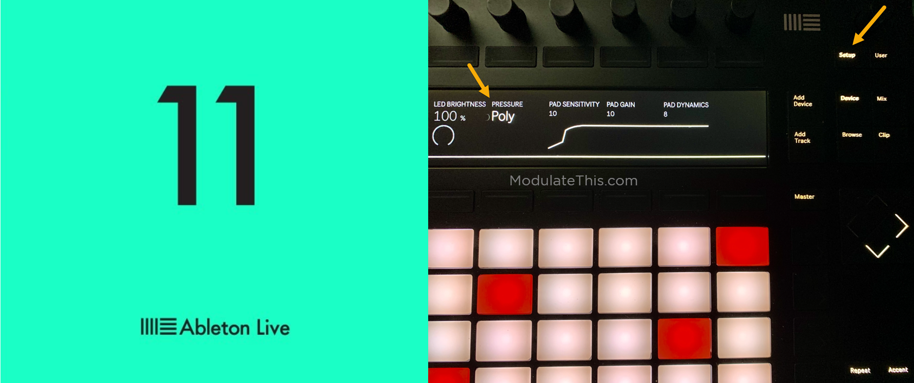 Getting to Know Ableton Live 11 + Push 2 Polyphonic Pressure